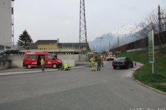 einsatzuebungstag_der_ff_-_neu_arzl_20160408_1106389662