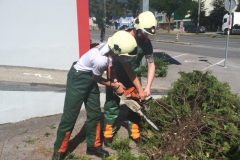 praktische_schulung_an_der_motorsaege_20140613_1234714130