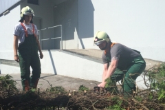 praktische_schulung_an_der_motorsaege_20140613_1562198477